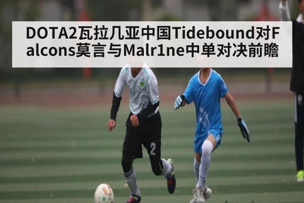 DOTA2瓦拉几亚中国Tidebound对Falcons莫言与Malr1ne中单对决前瞻 - kaiyun.cn